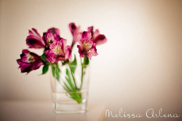Flowers 8 of 8 {101 in 1001 List Ready!}