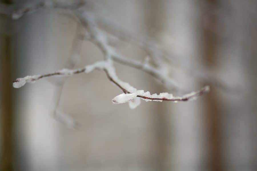 Snow Day Wedding & Portrait Photographer in Fredericksburg, VA | Melissa Arlena Photography image 1