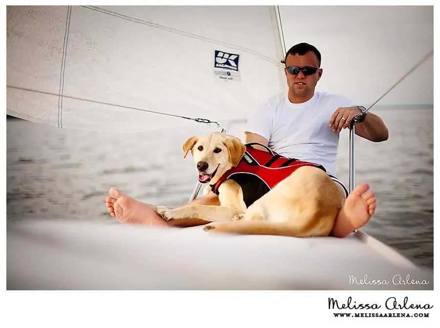 dog on sailboat