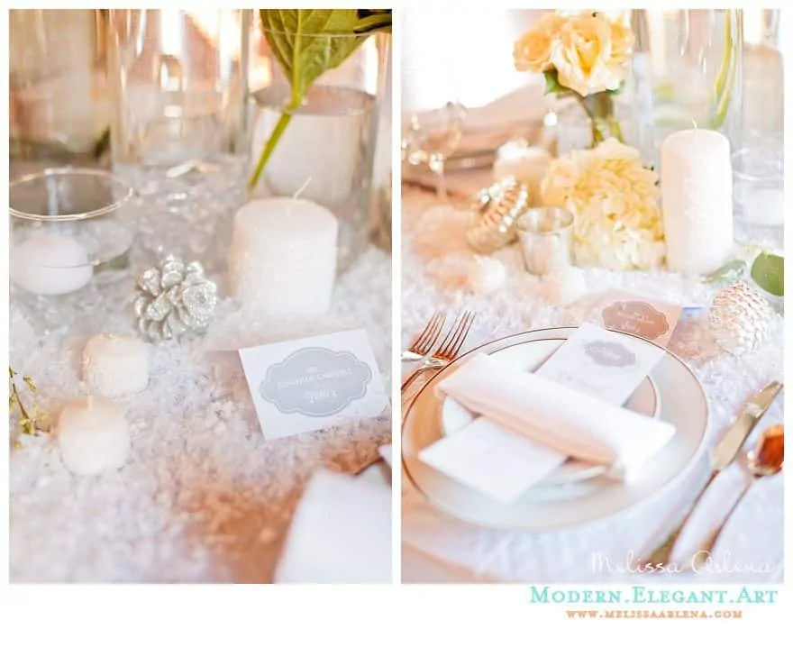 published winter snowfall tablescape119