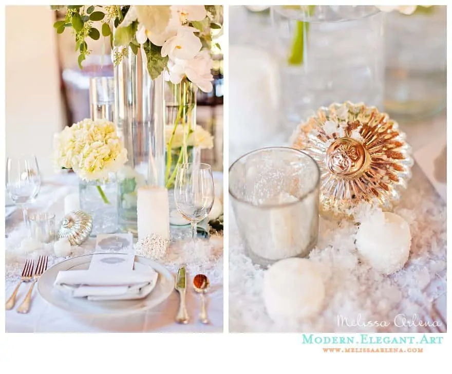 published winter snowfall tablescape120