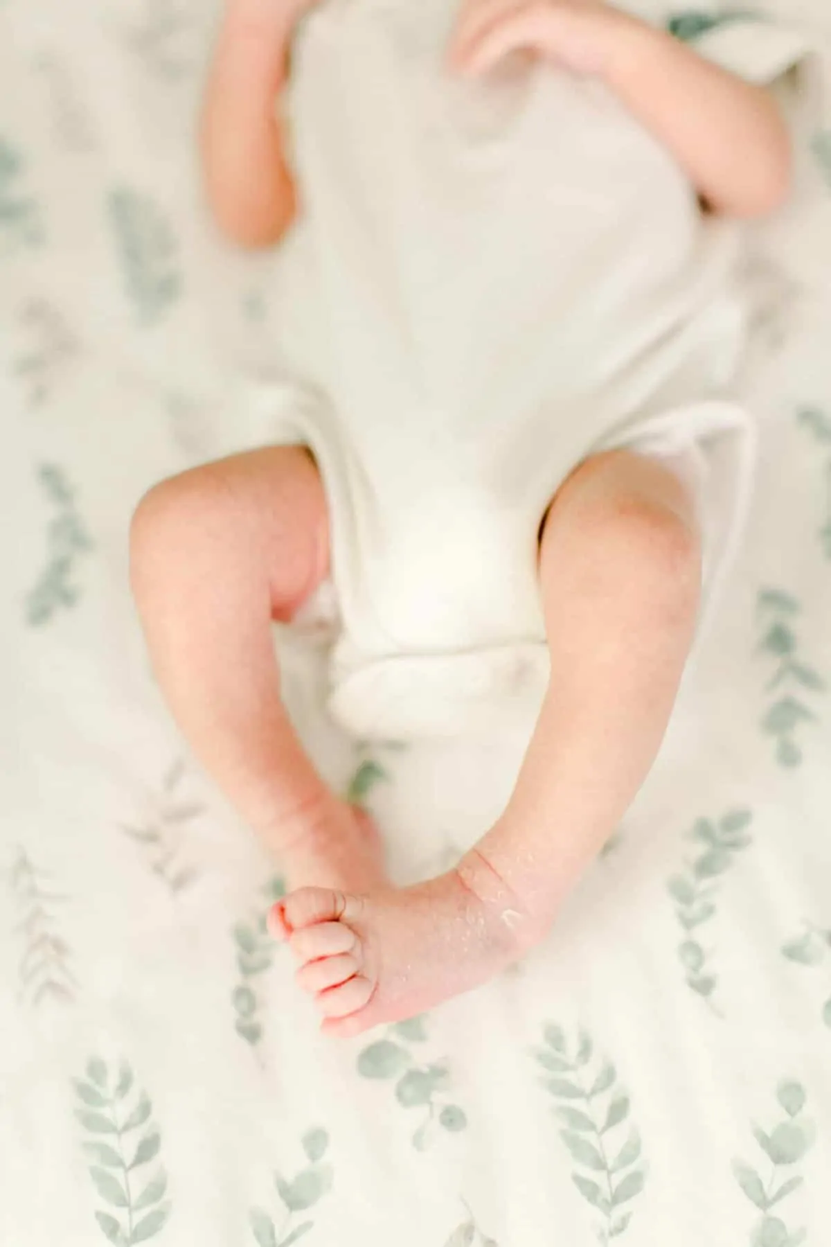 byrne newborn photographer arlington va 139