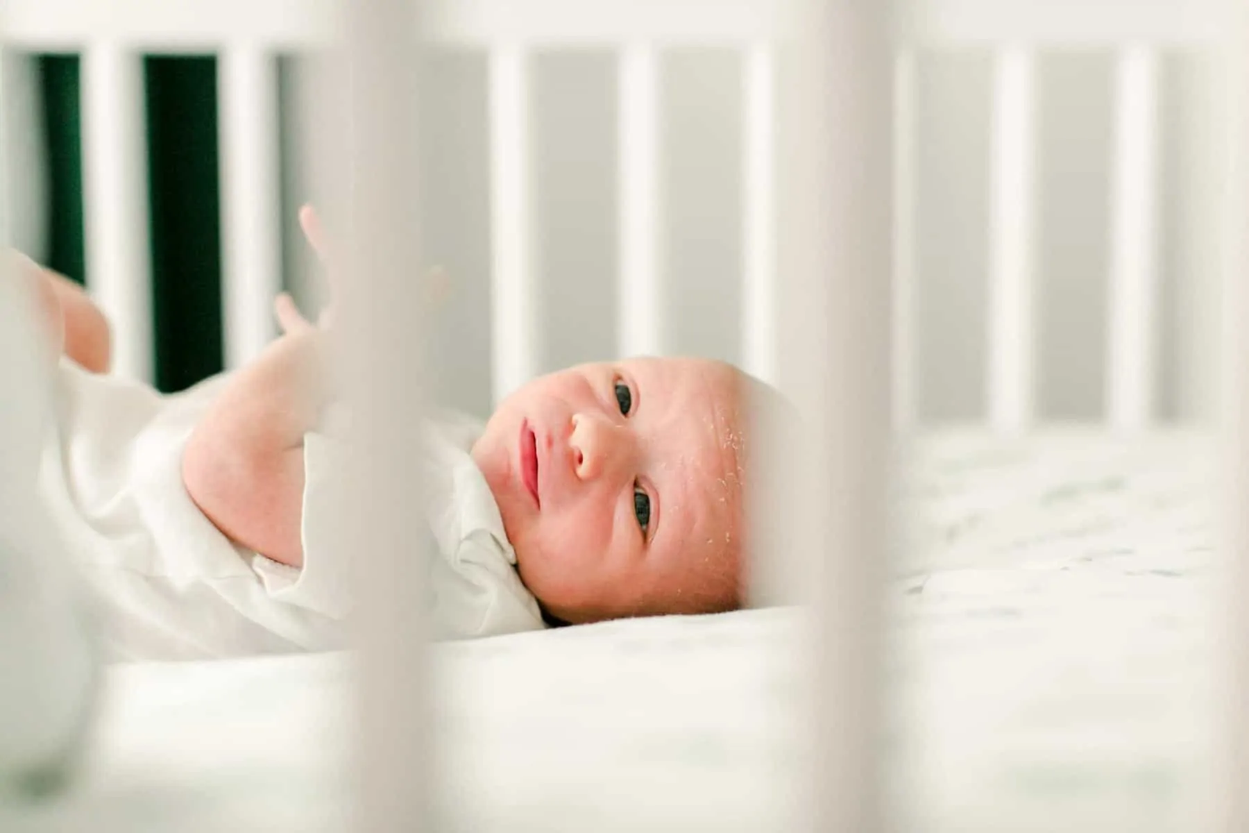 byrne newborn photographer arlington va 141