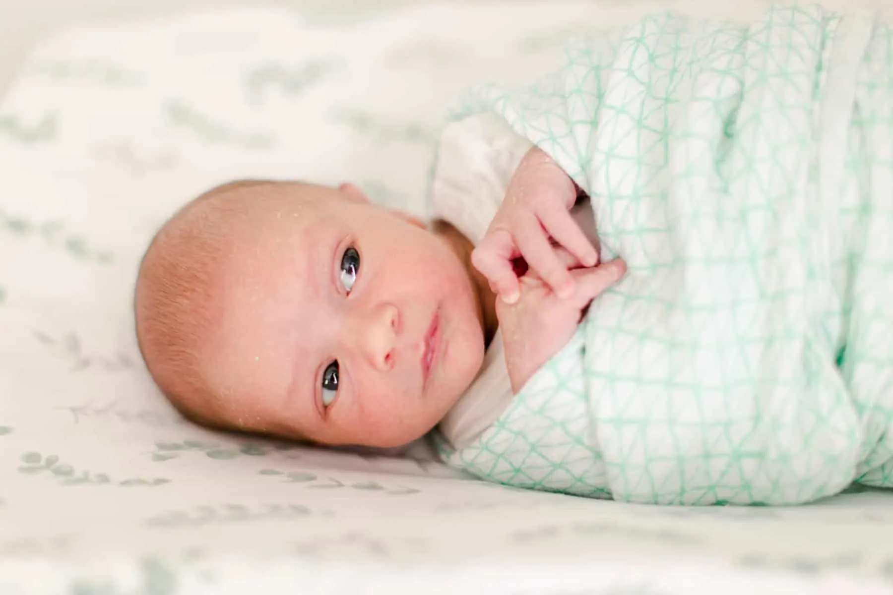 byrne newborn photographer arlington va 149