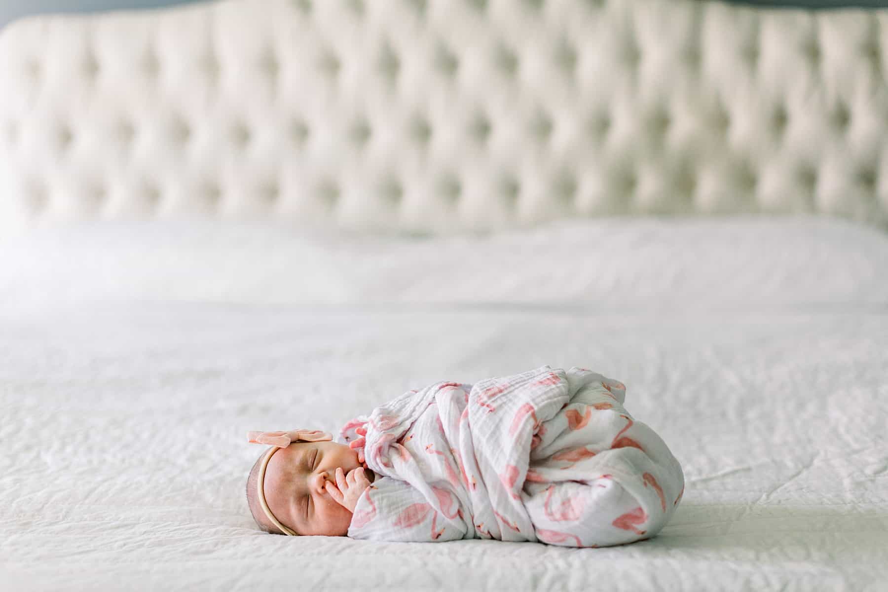dc newborn photography 0005