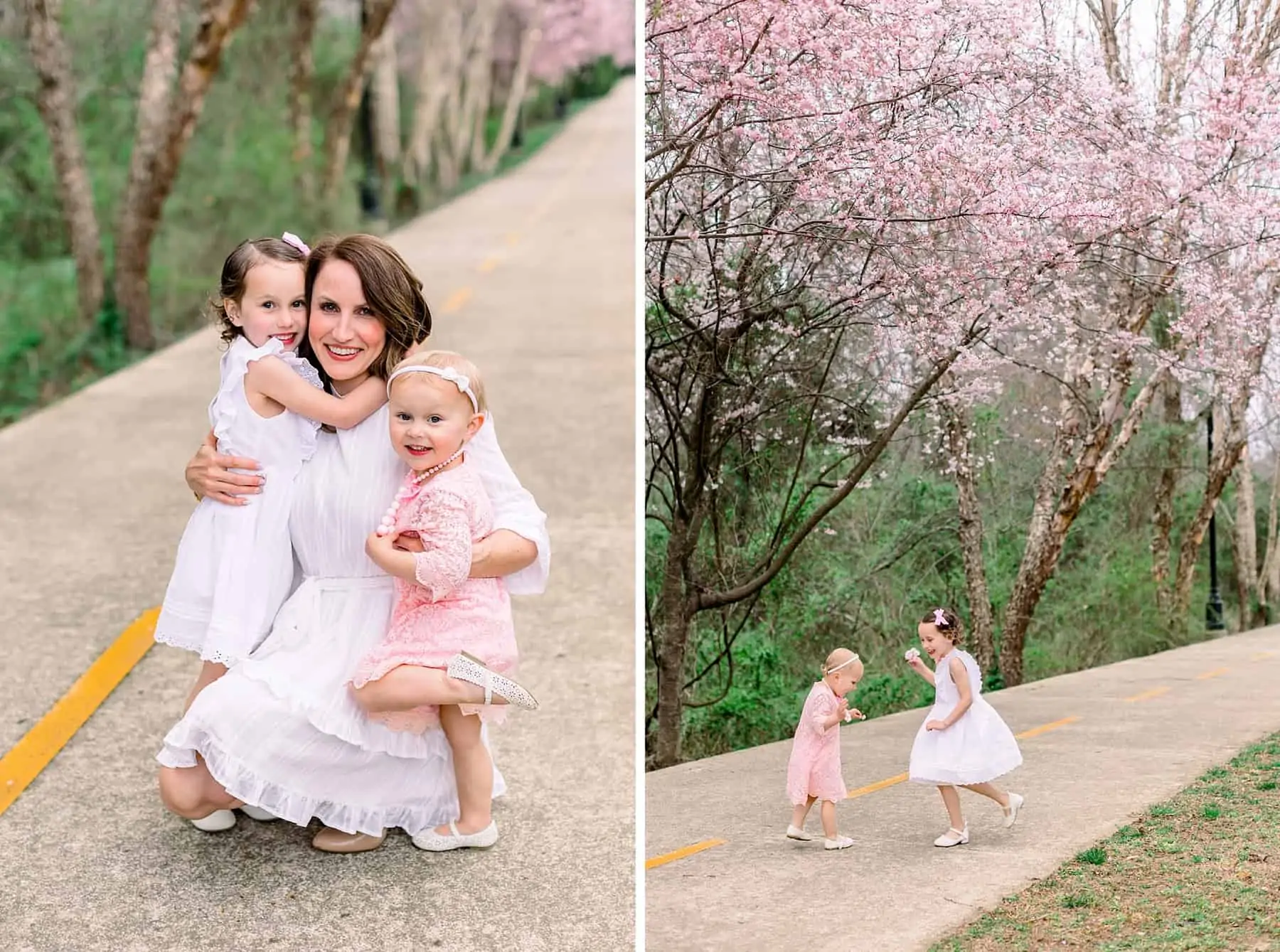 Bernfeld family cherry blossom minis 127