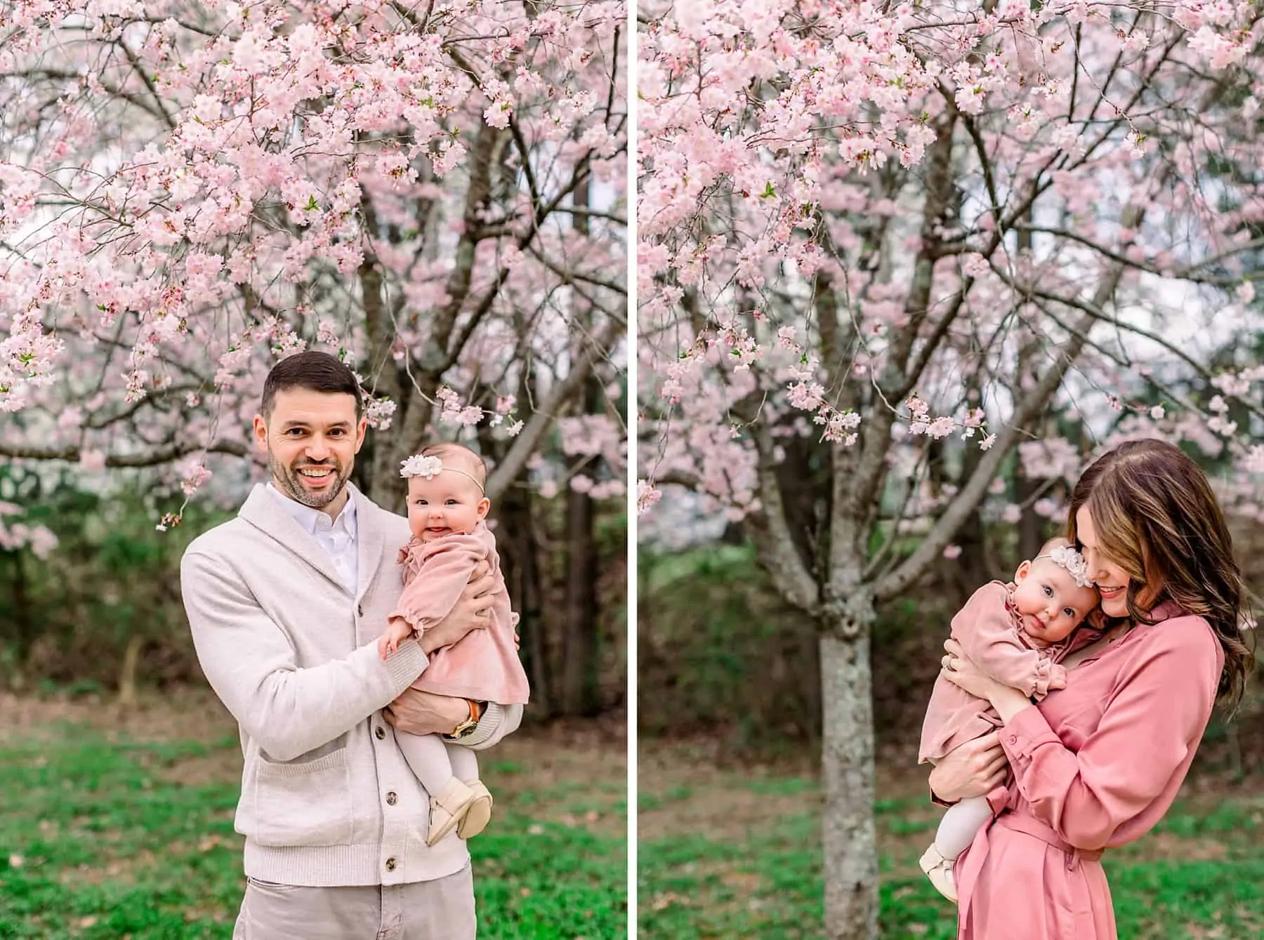 Genovese family cherry blossom minis 117