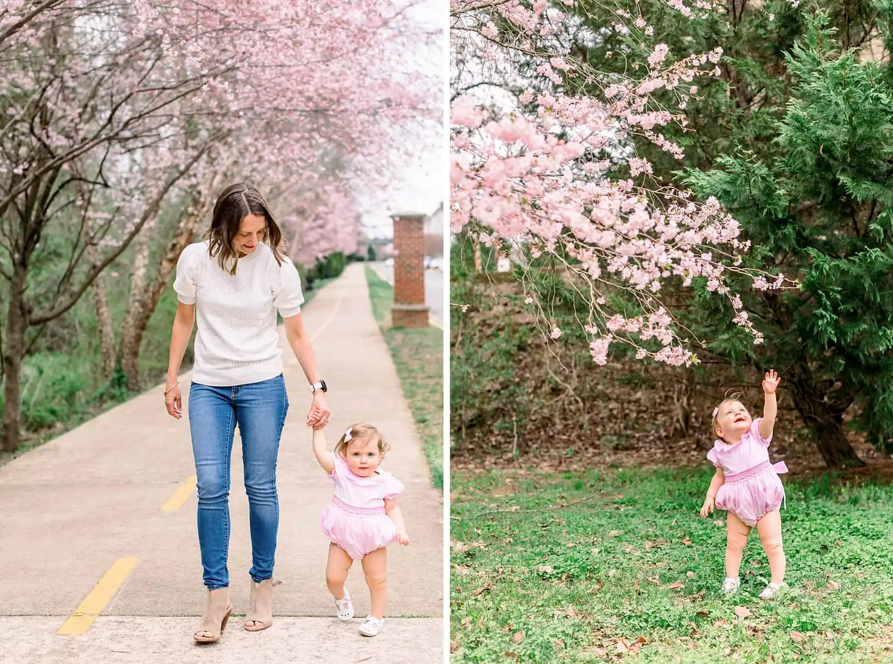 Granlund family cherry blossom minis 121