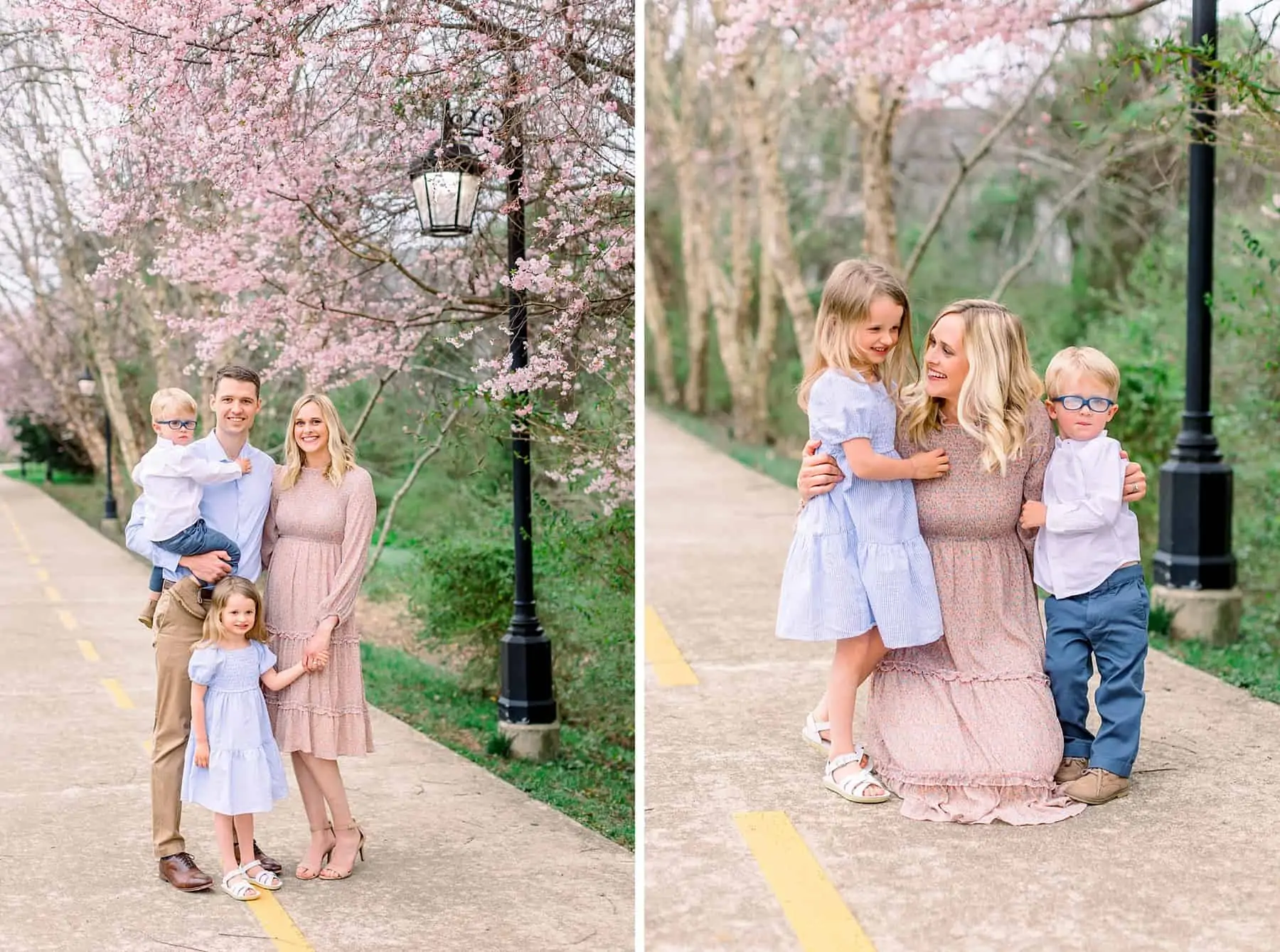 Greer family cherry blossom minis 100