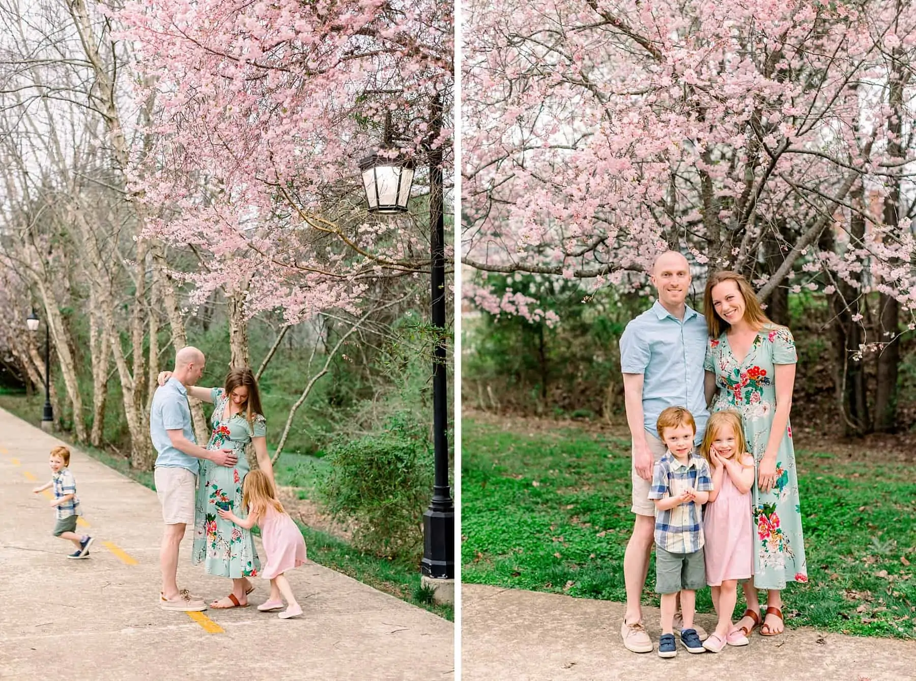 LaBrot family cherry blossom minis 103
