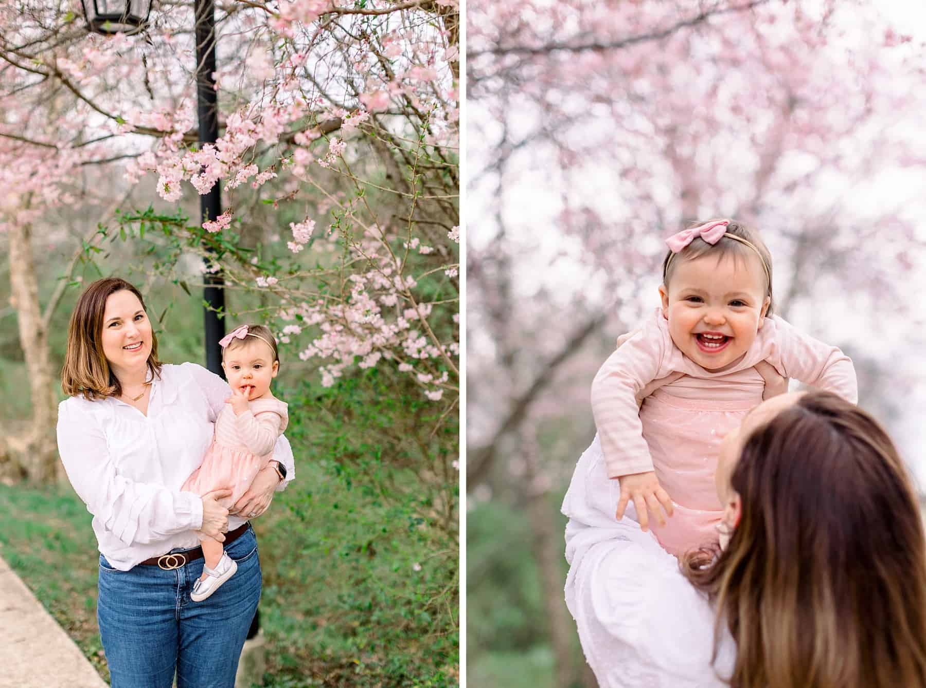 fulcher family cherry blossom minis 101