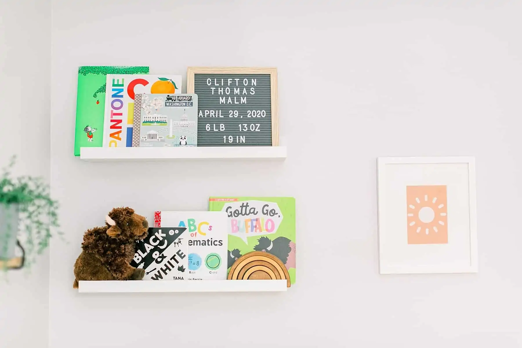 Books on shelves in a Bison & Buffalo Inspired Nursery