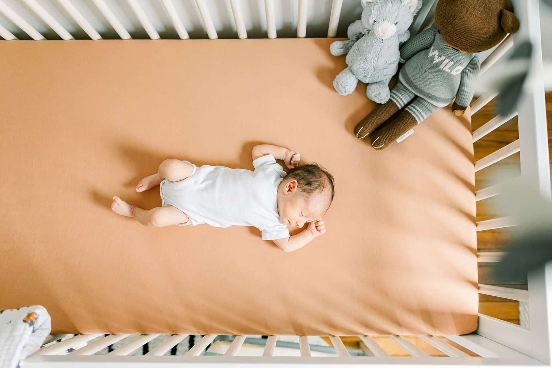 Overhead shot of baby sleeping in crib in a Bison & Buffalo Inspired Nursery