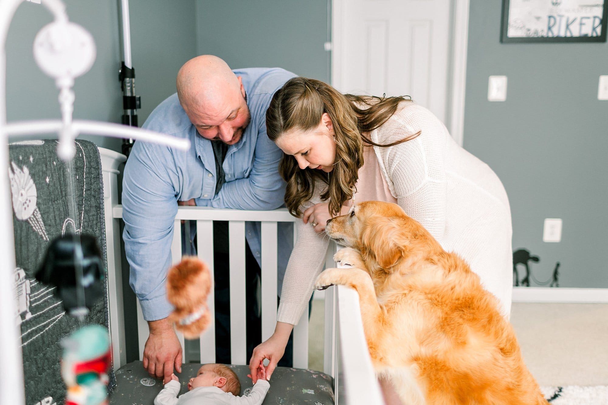 golden retriever looking in crib with parents at new baby