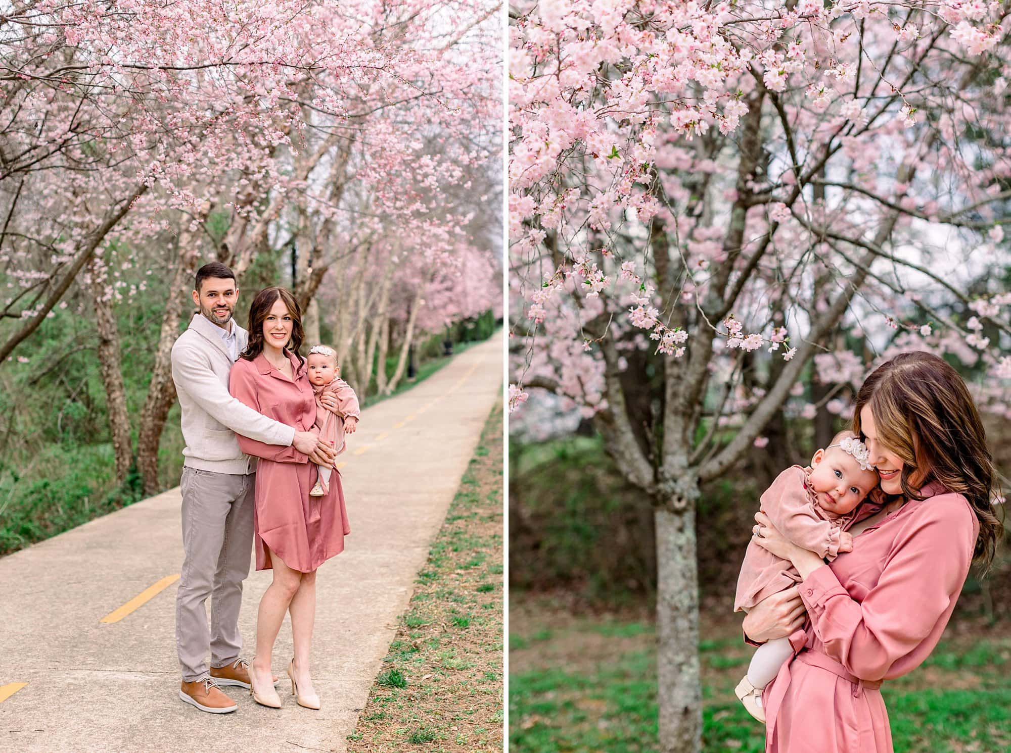 Genovese family cherry blossom minis 112