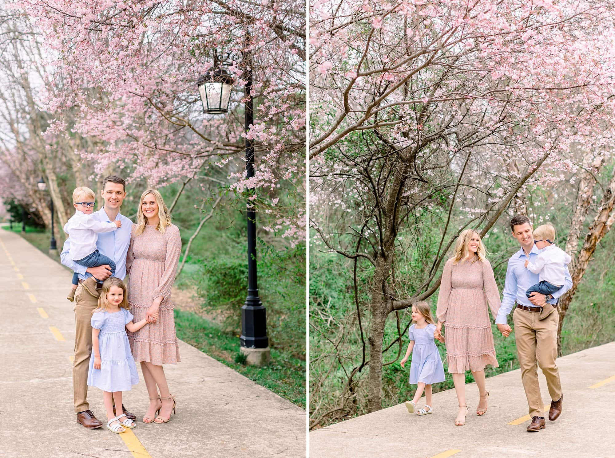 Greer family cherry blossom minis 100