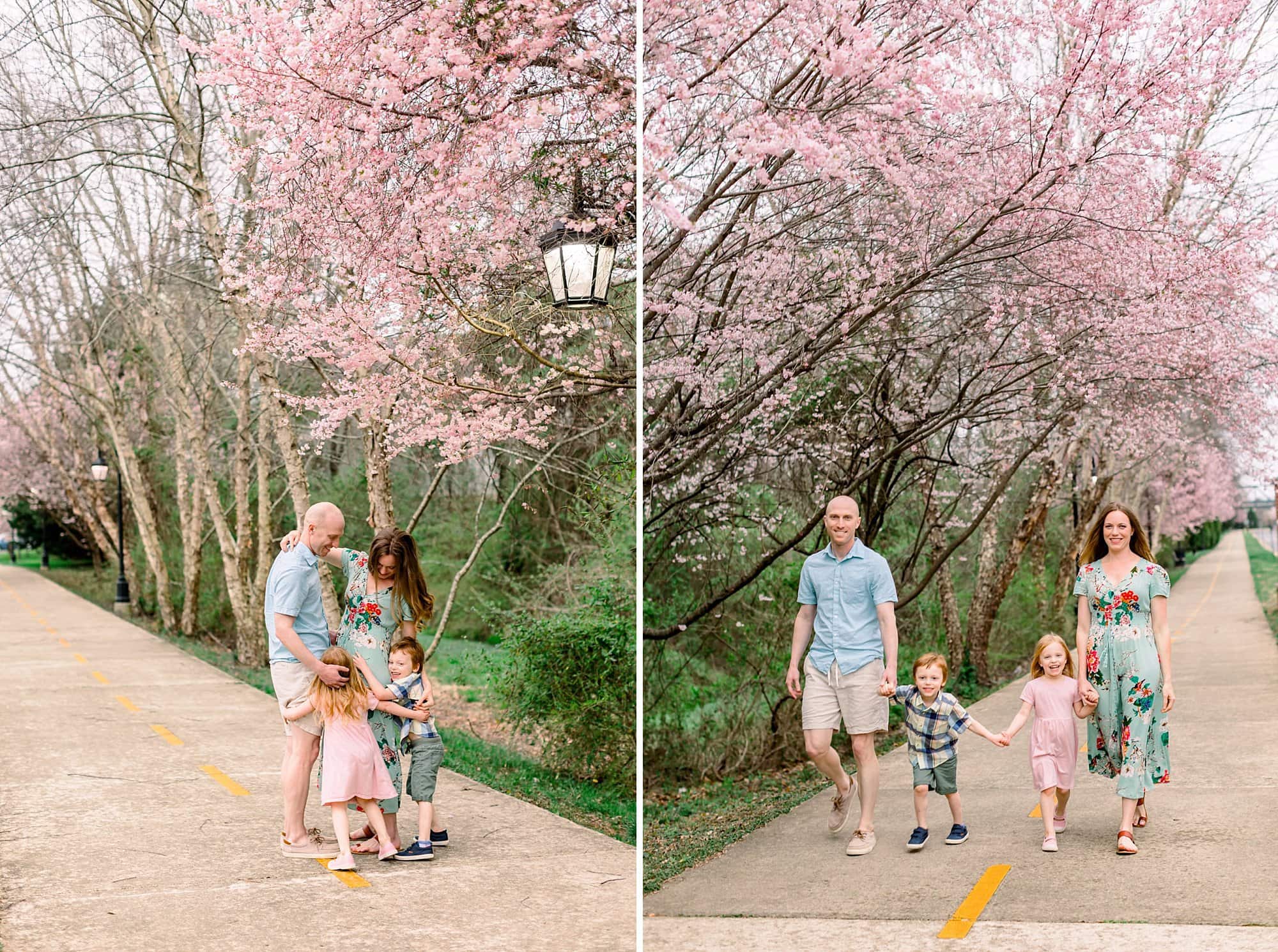LaBrot family cherry blossom minis 104