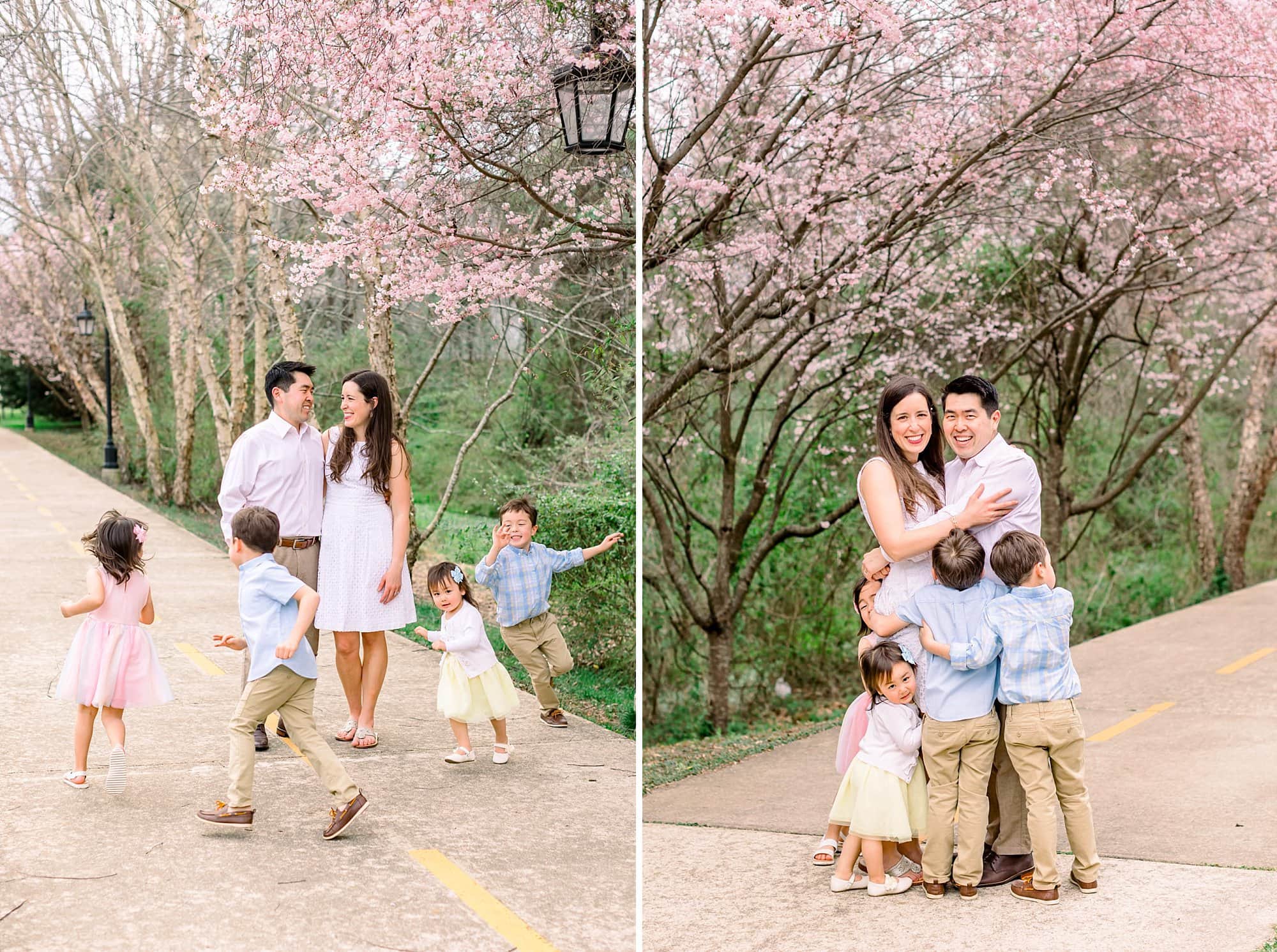Lee family cherry blossom minis 102