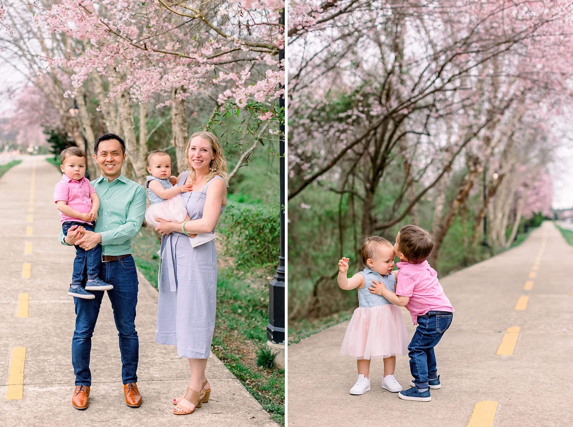 Wang family cherry blossom minis 105