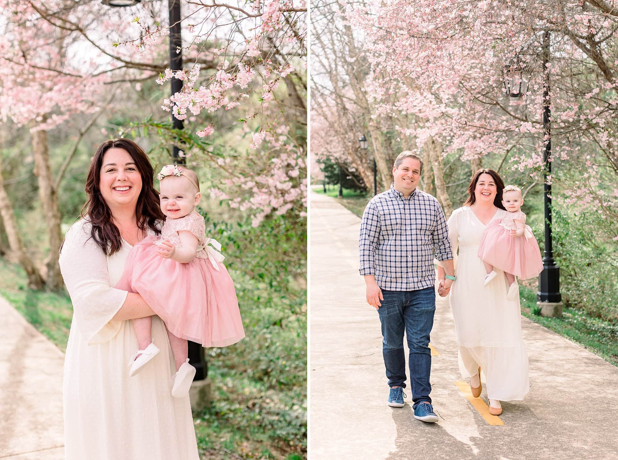 hoffman family cherry blossom minis 118