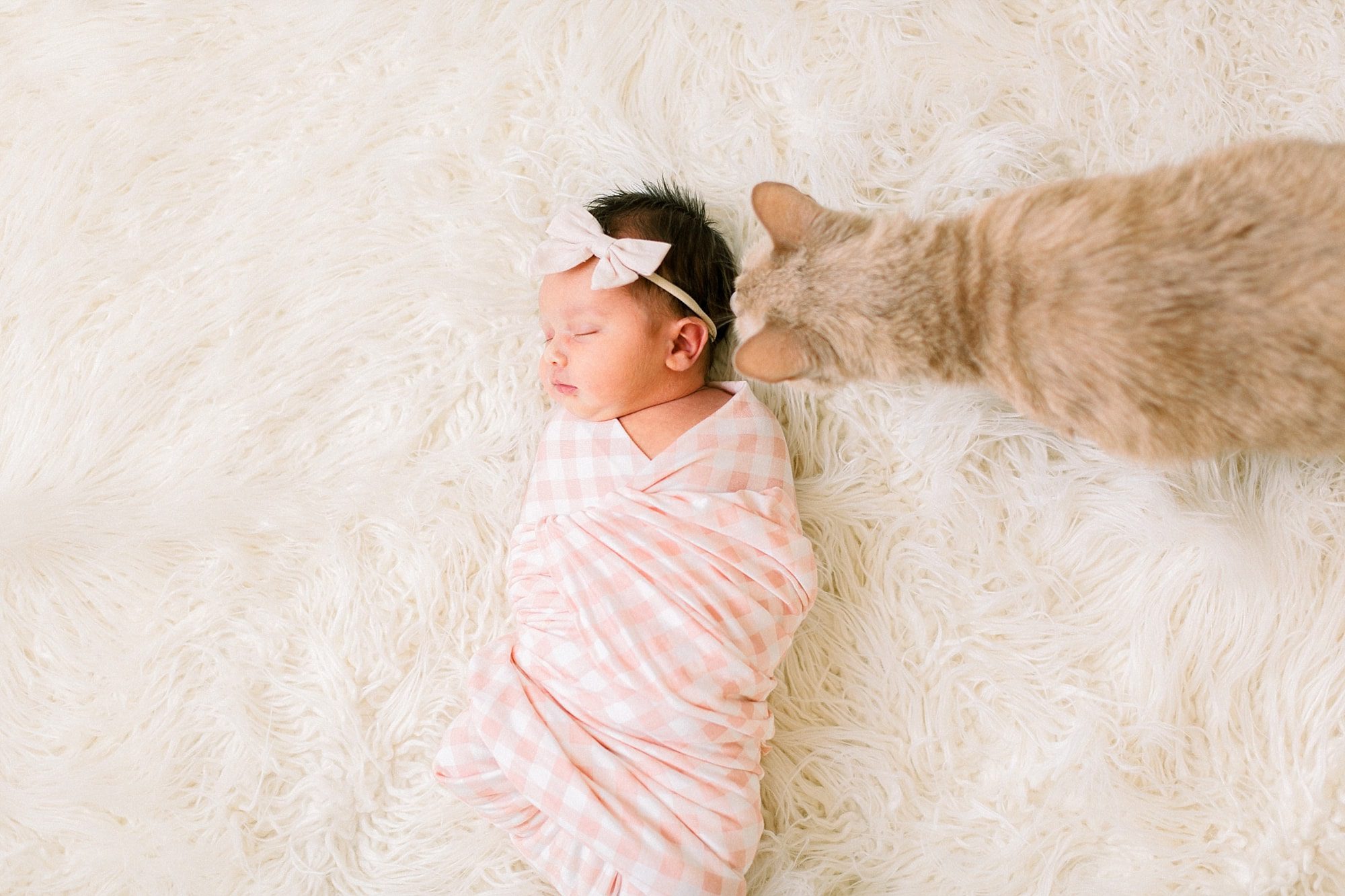 When should I book newborn photos? blog post