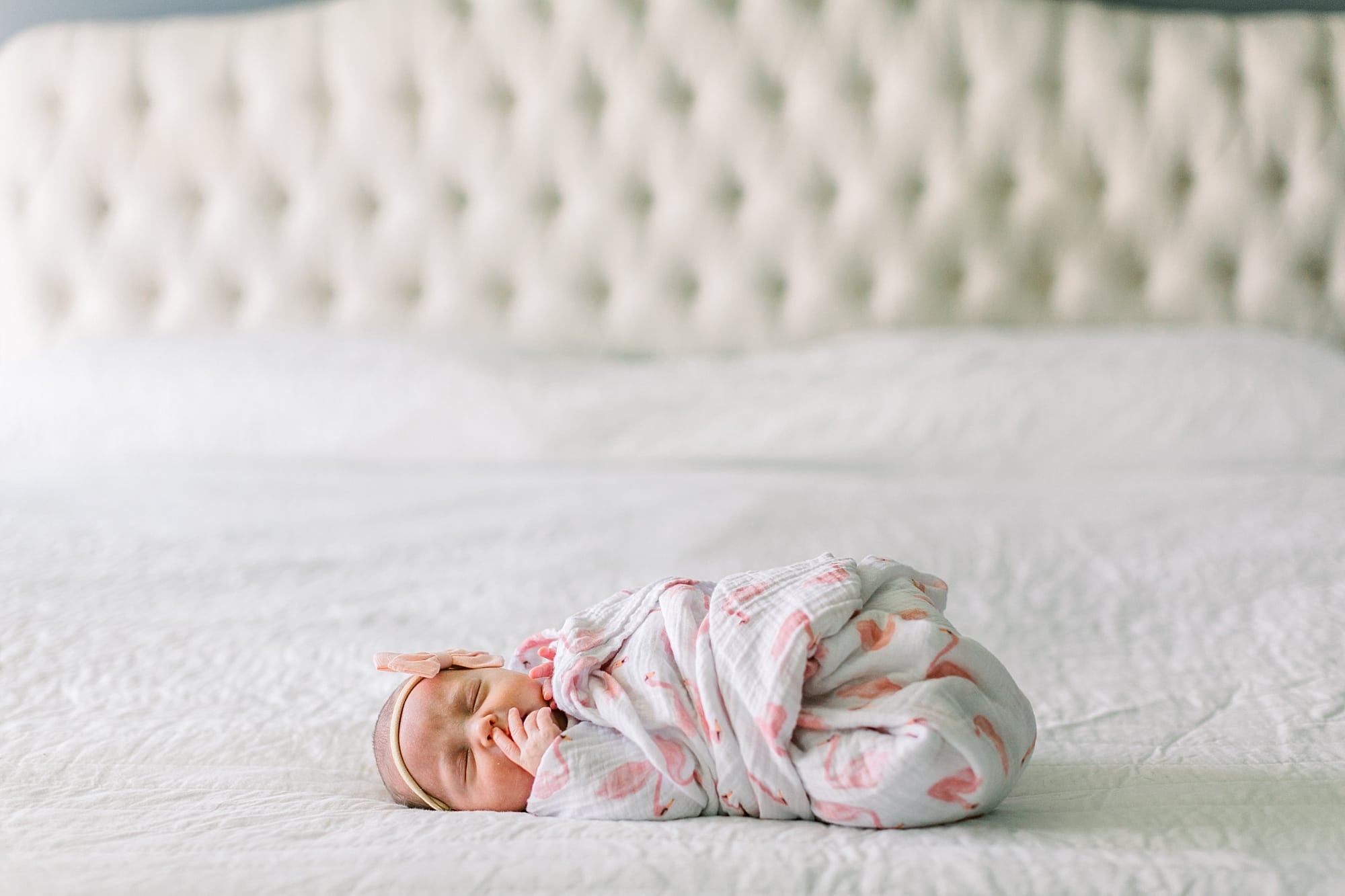 best photographer for newborn photos at home near me miami