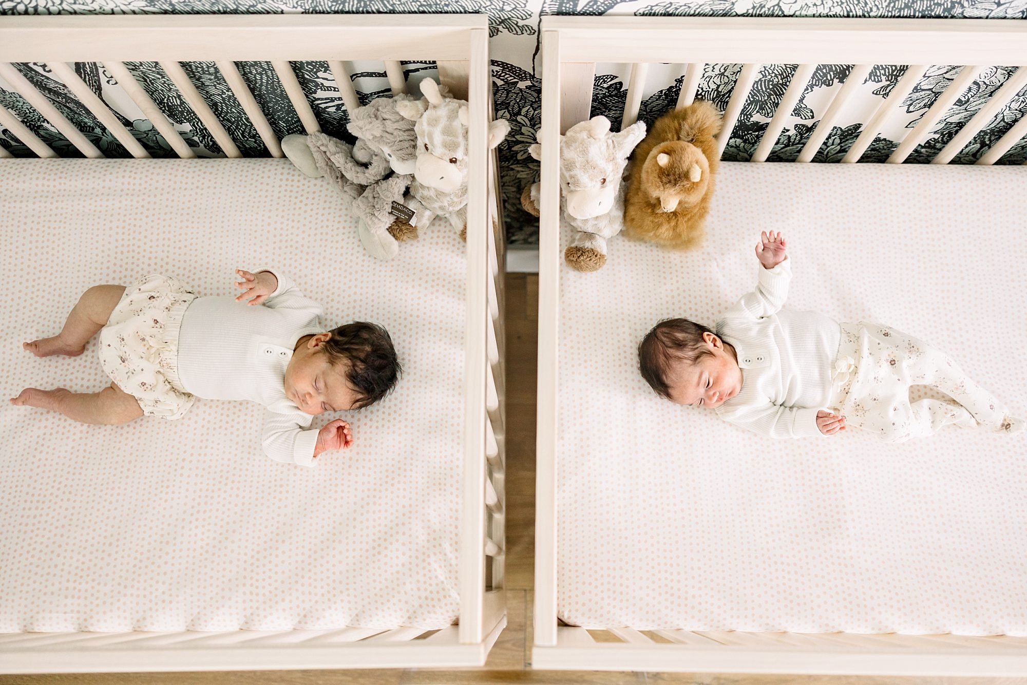 Newborn Twin Photography At Home