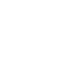 charlottesville family photographer master certified logo