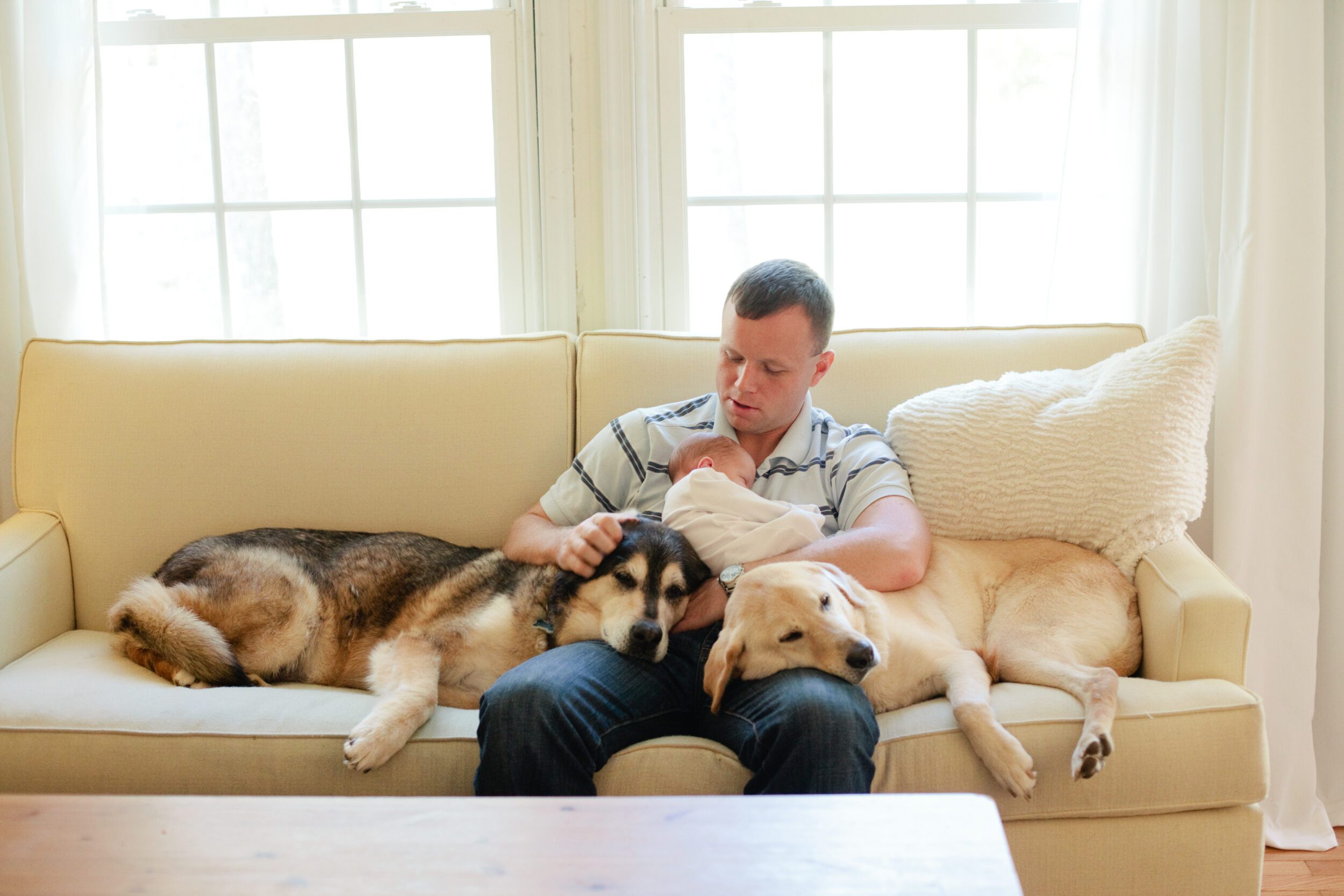 a dad sits holding his newborn while two dogs lay next to them on a couch