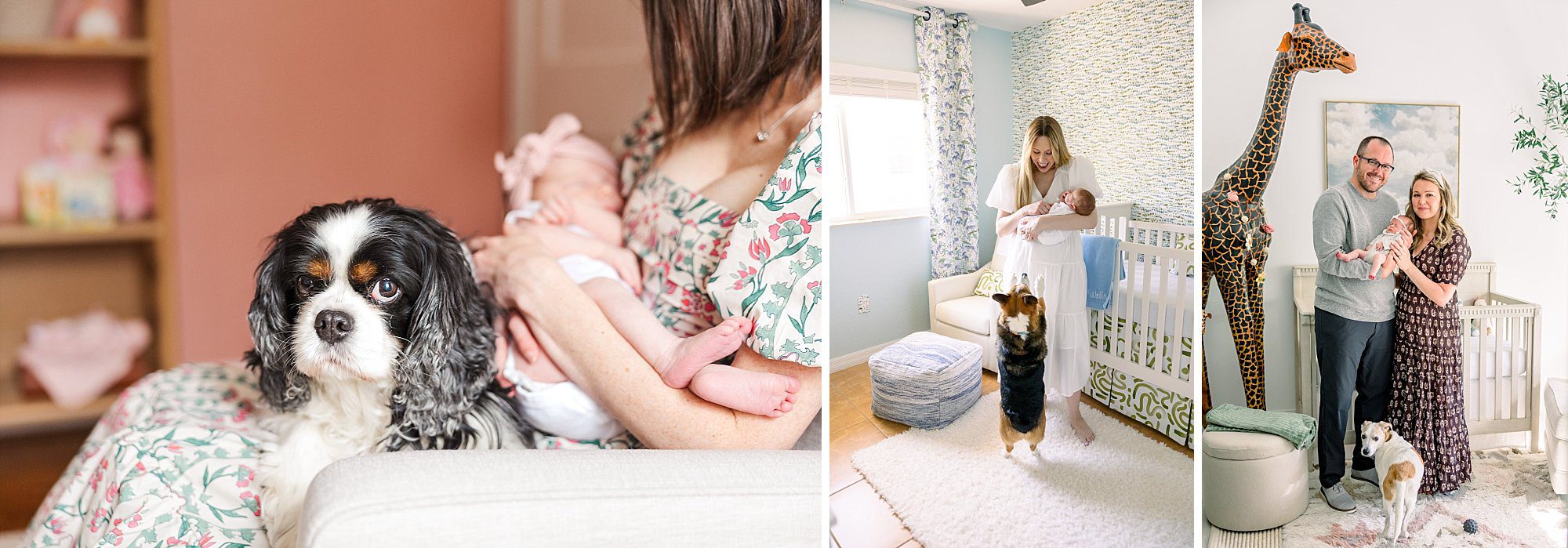 nursery newborn photos with dogs during lifestyle newborn sessions with Melissa Arlena Photography