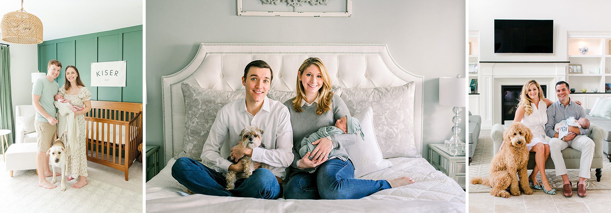 three images showing various types of newborn photos with dogs, these images include the whole family