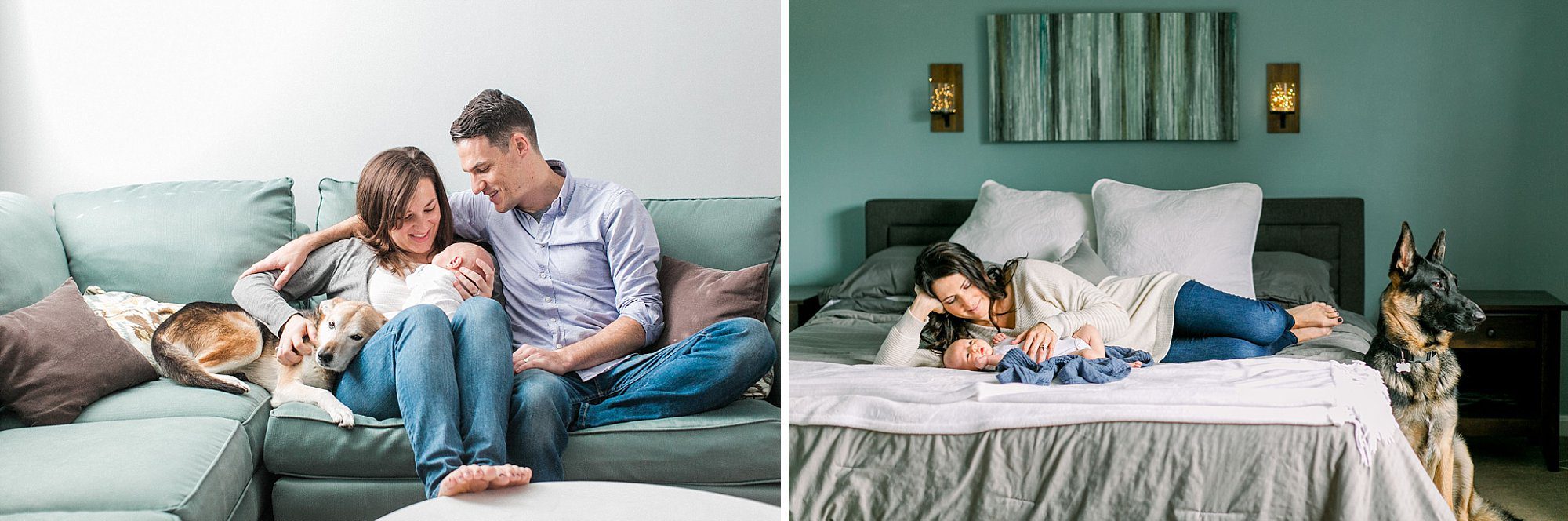 newborn photos with dogs features to images of dogs with their owners and newest additions