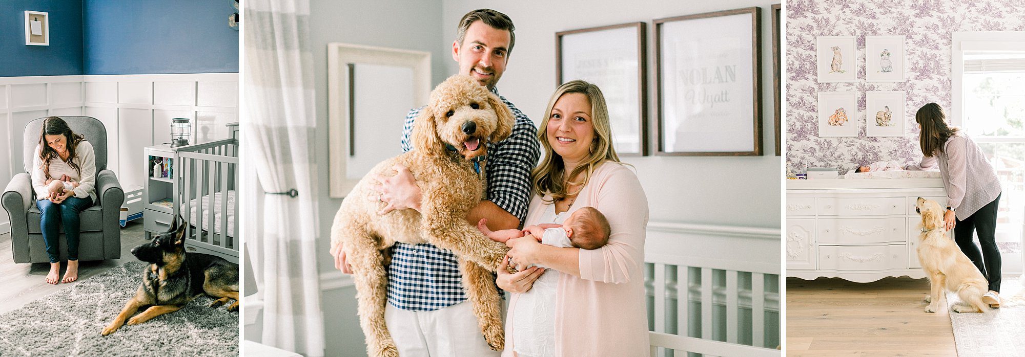 more beautiful nursery photos that include the family dog in a safe way